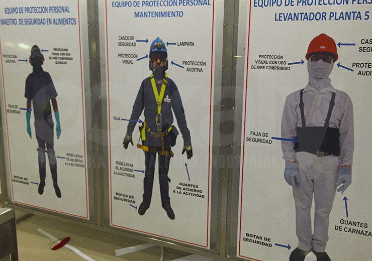Lonas y Mamparas
